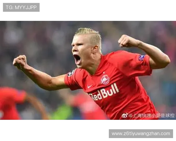 Z6尊龙网站app最新版本下载安装指南，全面解析安全保障与功能特色