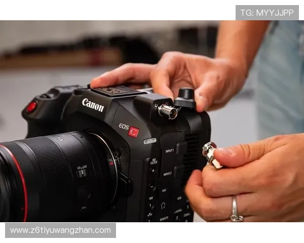 z6尊龙官方网站官网入口最新版本下载与更新内容详细指南