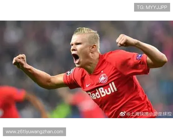 Z6尊龙安卓版玩家评价与反馈，真实用户体验分享与常见问题解答