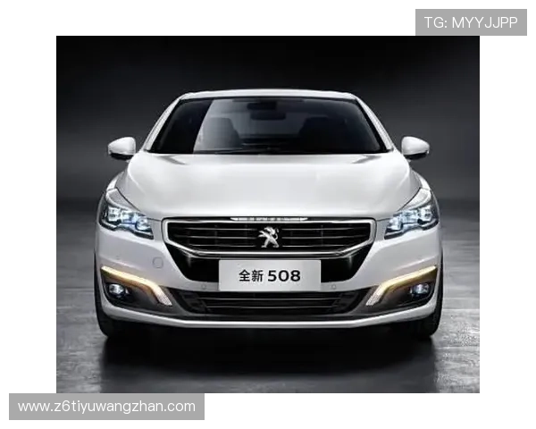 尊龙中国官方网站官方新闻动态与行业发展趋势分析 尊龙中国官方网站官方新闻动态与行业发展趋势分析