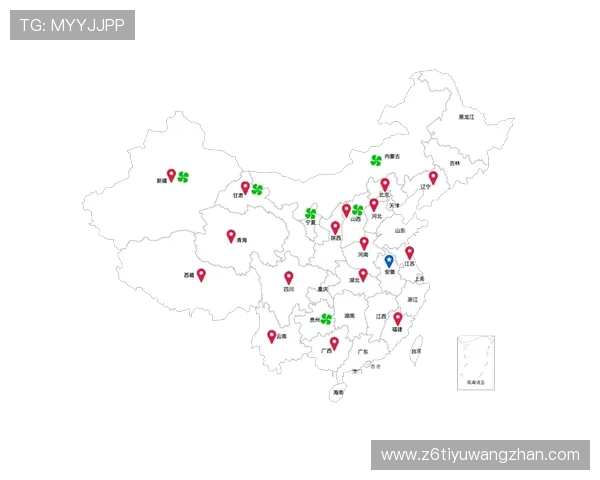用户指南：如何快速上手尊龙凯时官网app的各项功能