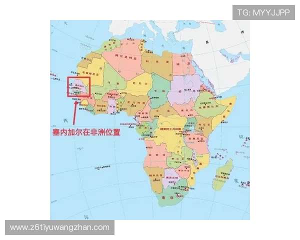 世界杯法国塞内加尔比赛前景分析:赛果预测、战术布局与比赛看点 世界杯法国塞内加尔比赛前景分析:赛果预测、战术布局与比赛看点